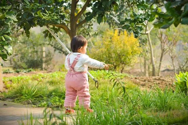 Understanding Environmental Influences on Child Development