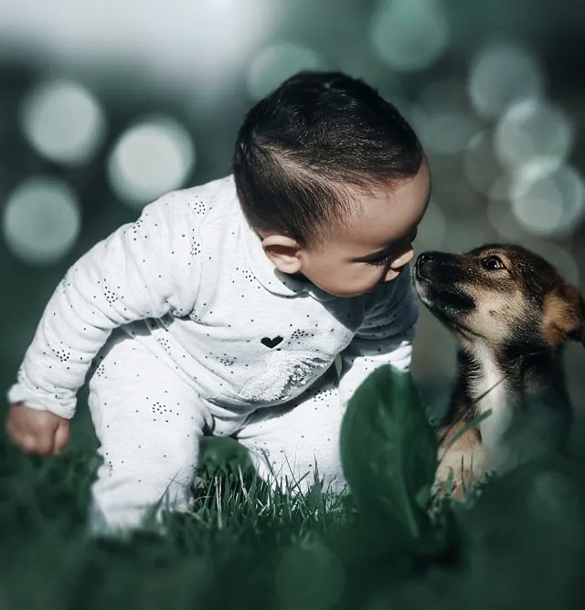 Pet-Baby Activities That Encourage Bonding